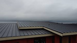 Fast & Reliable Emergency Roof Repairs in Friday Harbor, WA